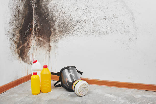 Best Crawl Space Mold Removal  in Twin Lakes, VA