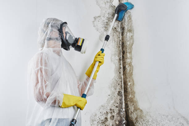 Best Mold Testing  in Twin Lakes, VA
