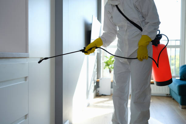 Best Residential Mold Removal  in Twin Lakes, VA