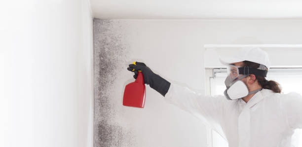 Best Mold Removal Company Near Me  in Twin Lakes, VA