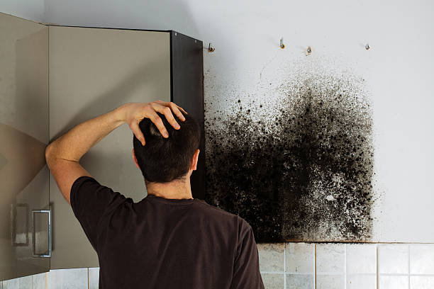 Best Mold Remediation  in Twin Lakes, VA